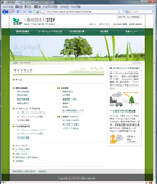 植林活動サイト4