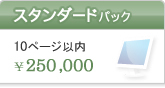 スタンダードパック 10ページ以内 \250,000