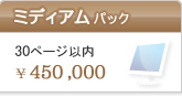 ミディアムパック 30ページ以内 \450,000