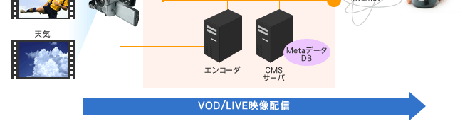VOD/LIVE映像配信