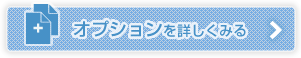 オプションを詳しくみる