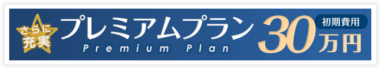 WEBサイト制作更に充実。プレミアムプラン。初期費用30万円
